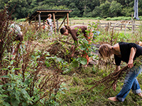 Association Les jardins de l'Awen