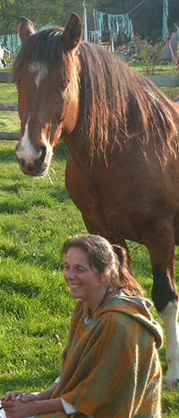 Communication animale